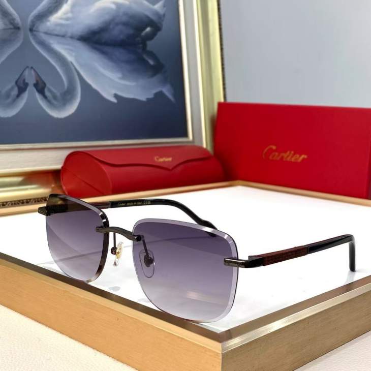 Picture of Cartier Sunglasses _SKUfw79616054fw